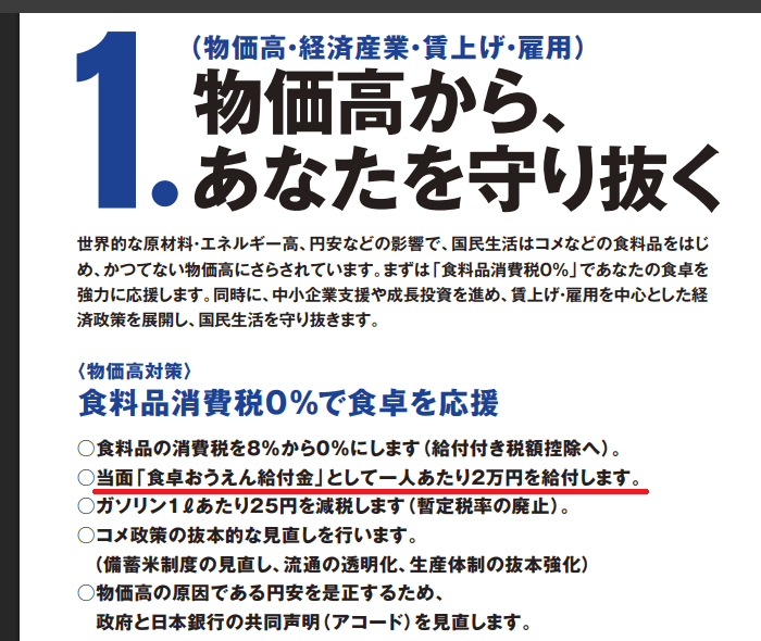 立憲民主党の公約